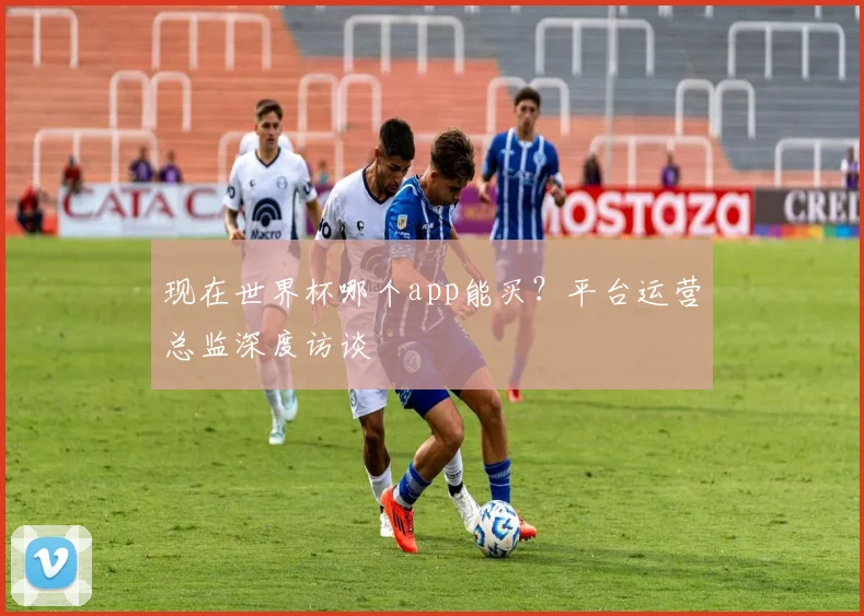 现在世界杯哪个app能买?平台运营总监深度访谈