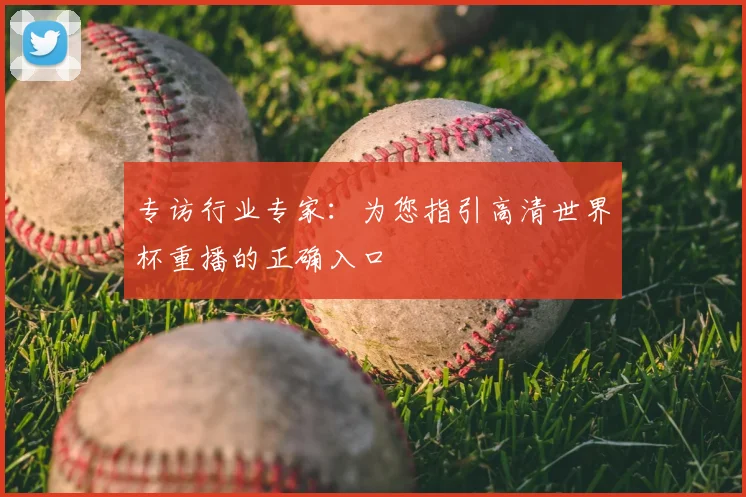 专访行业专家:为您指引高清世界杯重播的正确入口