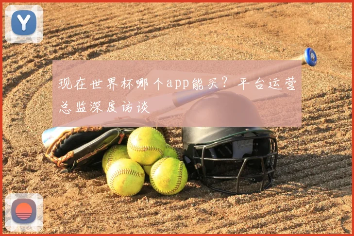 现在世界杯哪个app能买?平台运营总监深度访谈