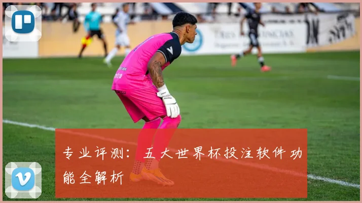 专业评测:五大世界杯投注软件功能全解析