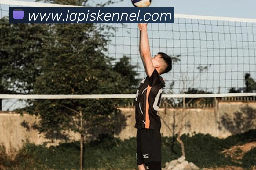 多媒体互动体验