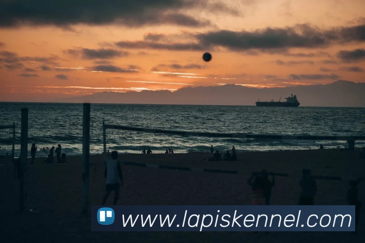 奇异果app官网入口APP 体育赛事宣传图